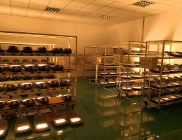 പഴയ പരീക്ഷണം