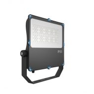 ഫ്ലഡ്‌ലൈറ്റ് ഹൗസിംഗ്